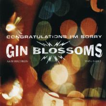 Gin Blossoms: Congratulations I'm Sorry