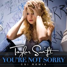 Taylor Swift: You're Not Sorry (CSI Remix) (You're Not SorryCSI Remix)