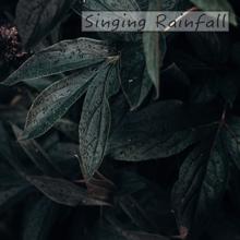 Rain Sounds: Singing Rainfall