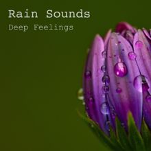 Rain Sounds: Deep Feelings