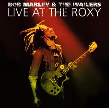 Bob Marley & The Wailers: Positive Vibration (Live At The Roxy)