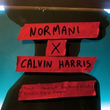 Normani x Calvin Harris feat. WizKid: Checklist (with Calvin Harris)