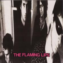 The Flaming Lips: In a Priest Driven Ambulance