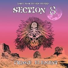 Section 8: Fringe Element