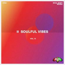 Various Artists: Soulful Vibes, Vol. 13