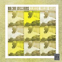 Big Joe Williams: Classic Delta Blues