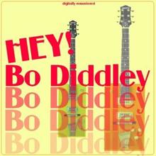 Bo Diddley: Hey ! Bo Diddley