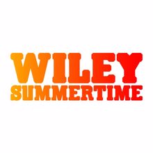 Wiley: Summertime (International Single DMD)