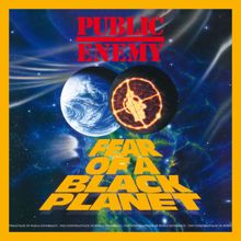 Public Enemy: Fear Of A Black Planet (Deluxe Edition) (Fear Of A Black PlanetDeluxe Edition)