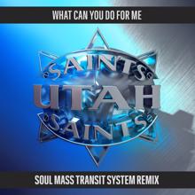 Utah Saints: What Can You Do For Me (Soul Mass Transit System Remix)