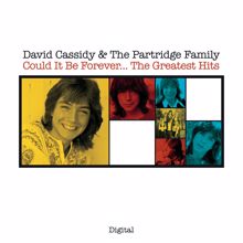 David Cassidy: Could It Be Forever...The Greatest Hits