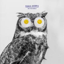 Ogris Debris: See the World