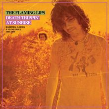 The Flaming Lips: Seeing the Unseeable: The Complete Studio Recordings of the Flaming Lips 1986-1990