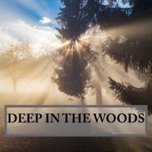 Rain Sounds: Deep in the Woods