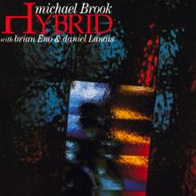 Michael Brook: Hybrid