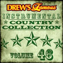 The Hit Crew: Drew's Famous Instrumental Country Collection (Vol. 46)
