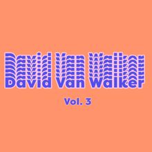 David Van Walker: David Van Walker, Vol. 3