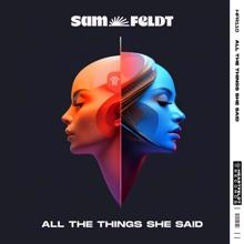 Sam Feldt: All The Things She Said