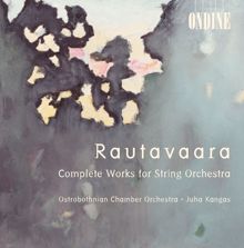 Ostrobothnian Chamber Orchestra: Canto III, "A Portrait of the Artist at a Certain Moment"