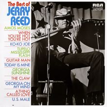 Jerry Reed: A Thing Called Love