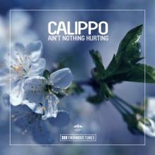 Calippo: Ain't Nothing Hurting (Original Club Mix)