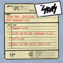 Skids: John Peel Session (Live) (John Peel SessionLive)