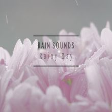 Rain Sounds: Morning Rain