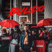 AMINE: Bulldo (Instrumental)