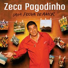 Zeca Pagodinho: Sincopado Ensaboado