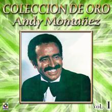 Andy Montañez: Colección de Oro: El Espectacular Andy Montañez, Vol. 1