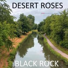 Desert Roses: Black Rock