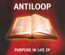 Antiloop: Purpose In Life (Radio Edit)
