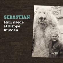 Sebastian: Hun Nåede at Klappe Hunden