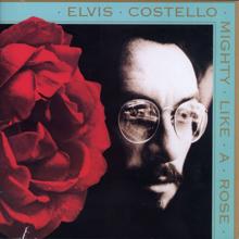 Elvis Costello: Mighty Like A Rose