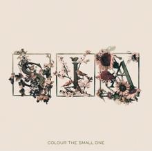 Sia: Colour The Small One