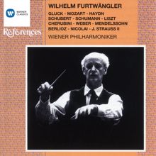 Wiener Philharmoniker/Wilhelm Furtwängler: Wilhelm Furtwängler in Wien