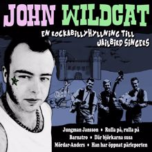 John Wildcat: En rockabillyhyllning till Jailbird Singers