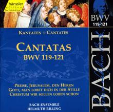 Helmuth Rilling: Bach, J.S.: Cantatas, Bwv 119-121