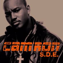 Cam'Ron: All the Chickens (Album Version)