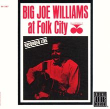 Big Joe Williams: At Folk City