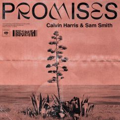 Calvin Harris, Sam Smith: Promises