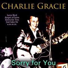 Charlie Gracie: Sorry for You