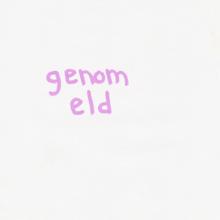 Bell: Genom eld