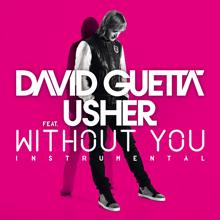 David Guetta: Without You (feat. Usher) (Instrumental)
