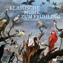 Wolfgang Amadeus Mozart: Klassische Musik zum Frühling. Vogel-Konzert