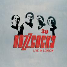 Buzzcocks: 30: Live In London