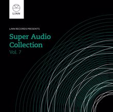 Various Artists: Super Audio Collection, Vol. 7