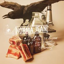 Norma Jean: Birds And Microscopes And Bottles Of Elixirs And Raw Steak And A Bunch Of Songs