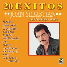 Joan Sebastian: 20 Éxitos Con Orquesta/Grupo