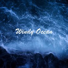 Ocean Sounds: Windy Ocean